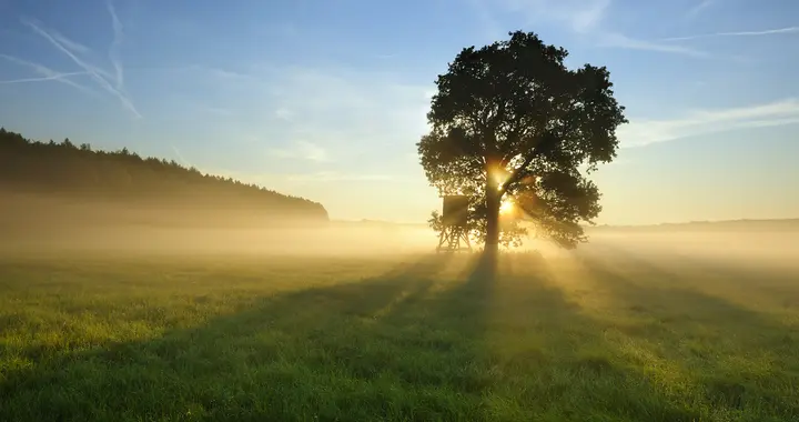 别让胡思乱想，耗尽你的人生