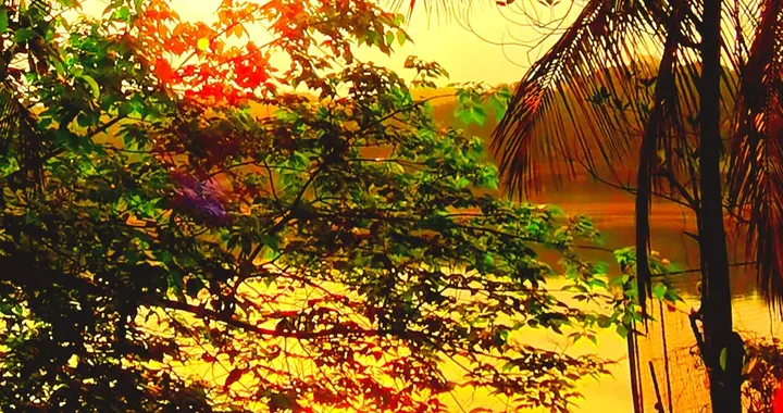 善者爱人，仁者助人，德者育人