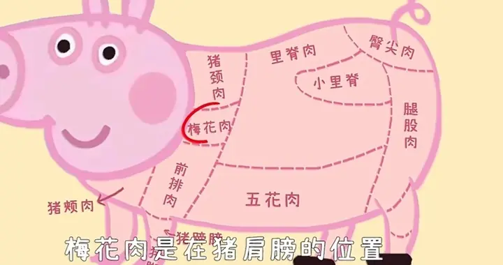 吃了30年猪肉竟认不清部位？买肉避坑指南，新手也能精准拿捏！