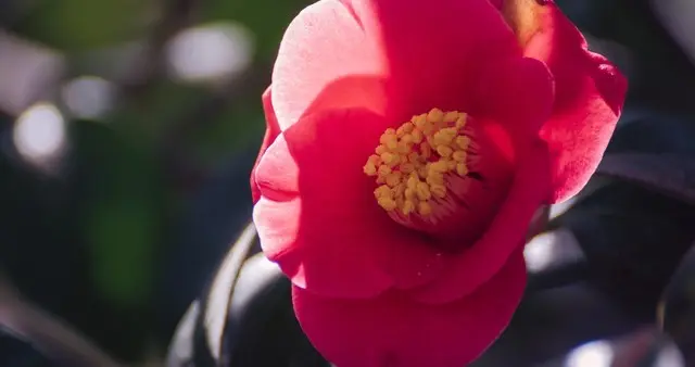 照顾好自己，世界才会属于你