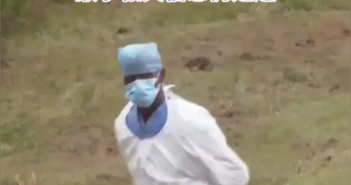 三只猴子跑了，全美装瞎？这事儿越扒越不对劲…