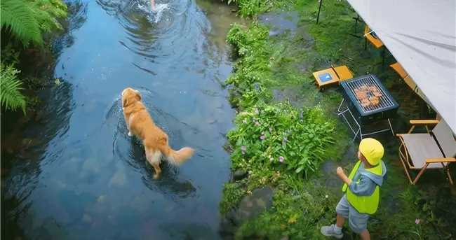 别人家的公司又出现了，这次是领克