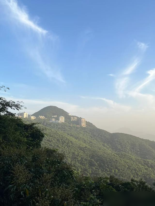 郭富城方媛8周年撒糖！从被嘲到甜过初恋咋做到的？