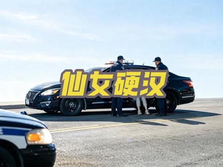 美国仙女闯红灯，还不接受执法检查！