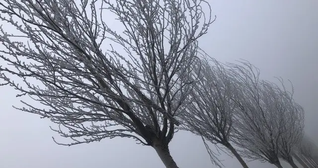 “最怕四九连晴”，明日入四九，四九见晴在民间咋解？