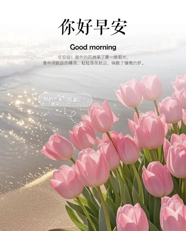 ²⁰²⁵/₀₅.₁₆早安!不一样的朋友圈文案，字字动人，句句走心~