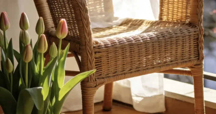 三月暖阳晒遗憾，轻装前行遇繁花