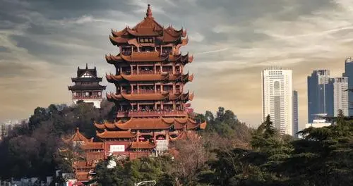 武汉一度湿度达100%像住进水帘洞