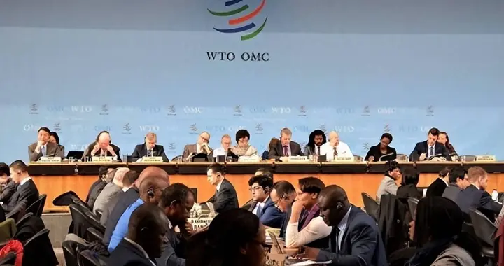 为什么WTO很少被提起了？中国入世谈判花了15年，如今几乎被架空