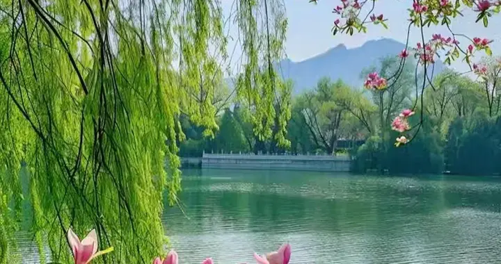 一丛花 · 春色映湖光（外二阕）