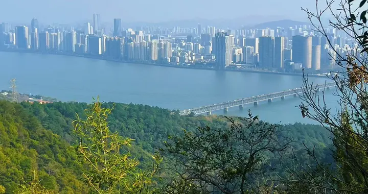 马年走马线，杭州西湖之畔走个富贵小马