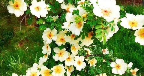 当生活再也没有温度：你会怎么走出那片黑暗？