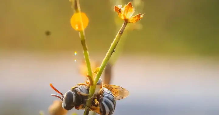 阳气大动！少吃鸡肉多吃3个食物，把耗散的津液补回来！