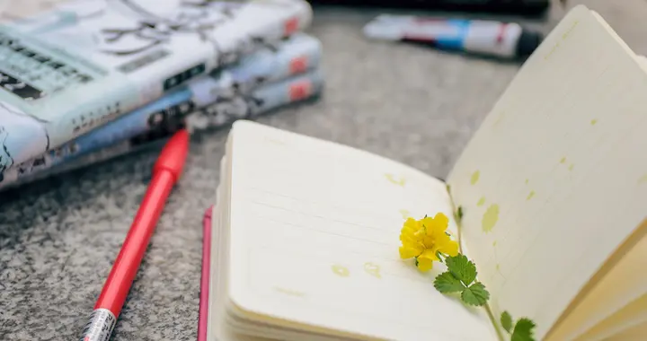 2025年浙江高考分数位次对应大学排名表（2026参考）