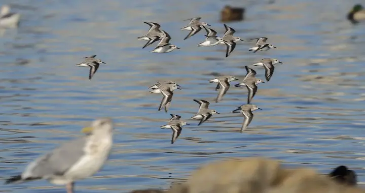 怎么提高自己的认知呢?