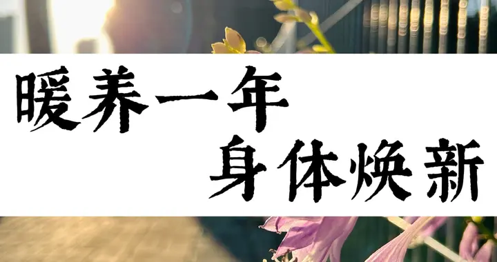 节后“焕新”计划：给身体按下“恢复键”，告别虚胖与疲惫