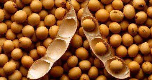 特朗普终于卖出大豆给中国高兴坏了