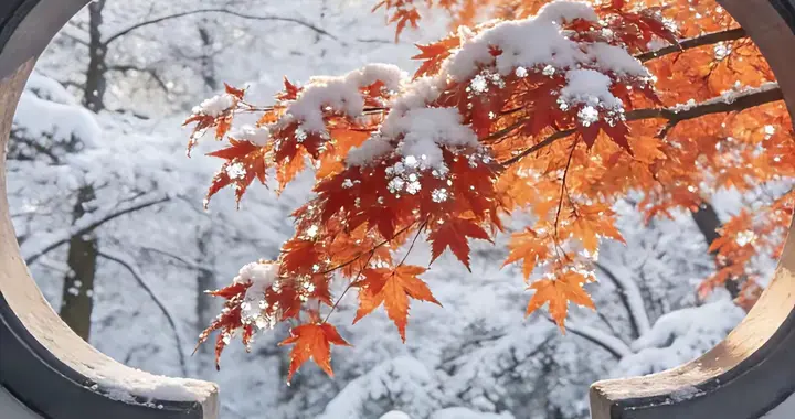 诗歌‖在隆冬等你