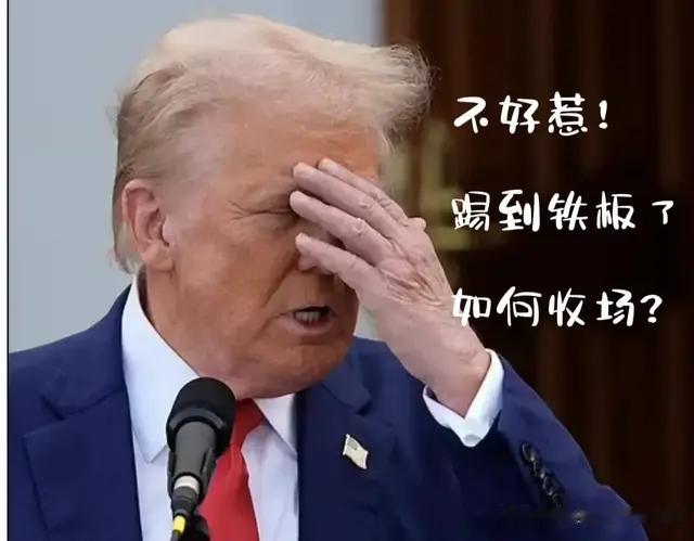 在美国企图全球禁用中国先进芯片时，某些国家还是叛变了，无奈！