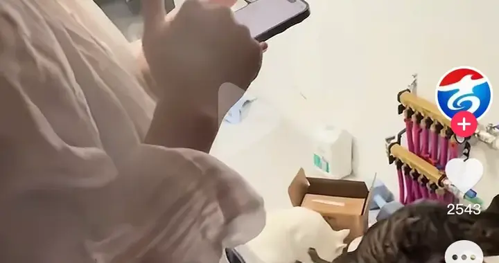 女子多次仅退款螺蛳粉，被找上门还叫嚣：报警抓我呀！结局亮了