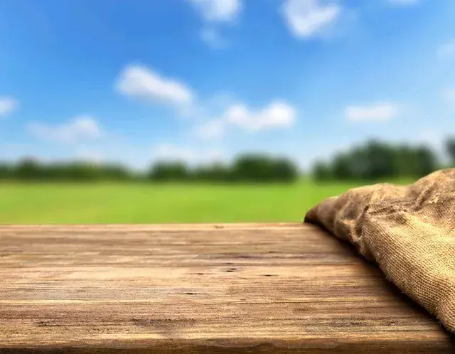 多年的媳妇熬成婆