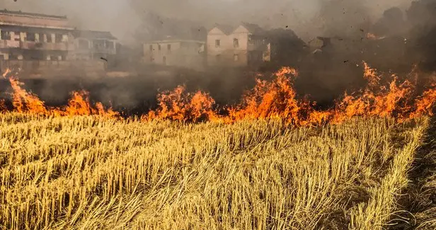 央媒报道！“秸秆焚烧”科学管理将列入法典，网友：禁改限合理