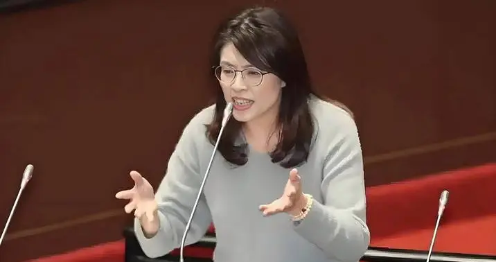 郑丽文答应大陆三个条件，已确定访陆时间？国民党回应“门票说”