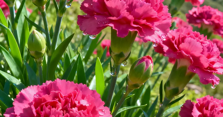 你遇到的人，也许只是风景；而你，才是最美的那一抹色彩！