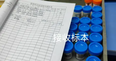 病理主理人日常工作 be like