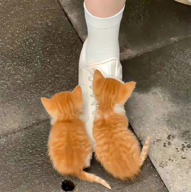 "2025堪称封神的句子"