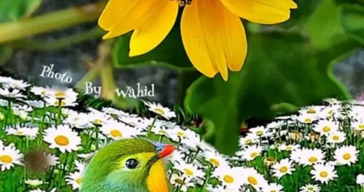 尊重人，人爱人 ，人帮人