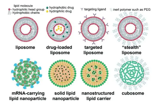 探索未来最值得关注的10大生物健康材料