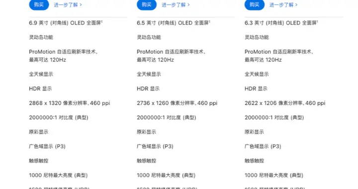 iPhone 17 屏幕细节确认