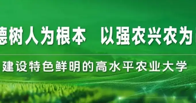 全国第一！全区唯一！