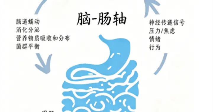 肠菌移植：打开深度睡眠的“肠道开关”，研究发现76%显著改善