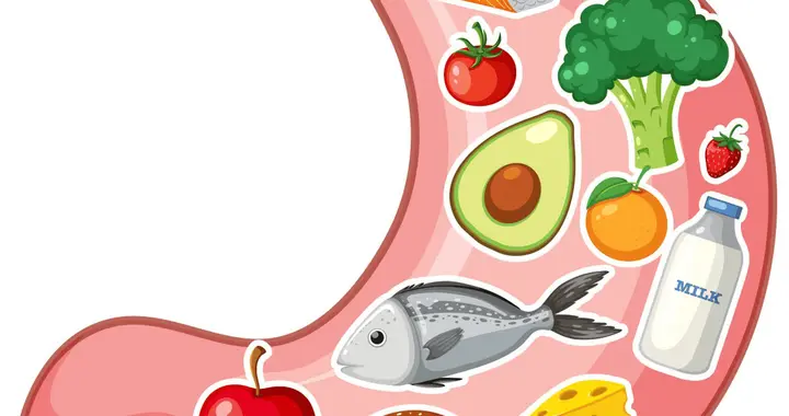 守护健康的基石：一份写给所有人的长期肠胃养护指南