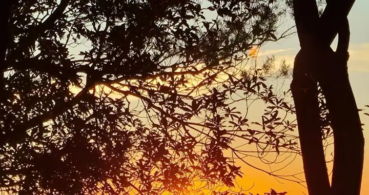 负债中最难的是明明无路可走了，还在骗自己，骗家人。