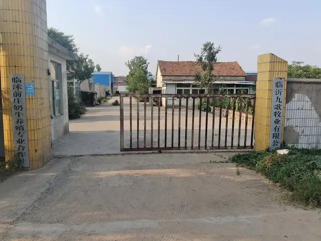 偌大的养殖场人走牛空，再想牛不容易