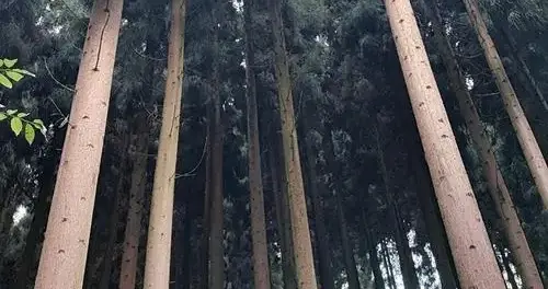 穷在犟和杠，福在忍和让；富在谋和思，毁在怒和狂