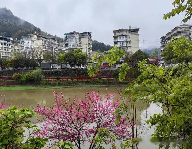 景宁旅居日志之雨后的鹤溪河