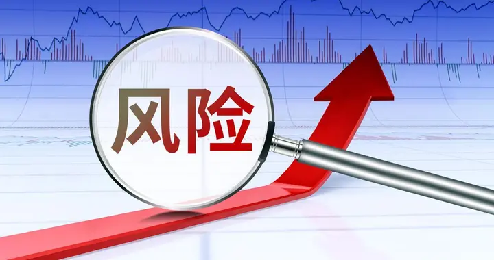 市场风险：因市场价格波动导致的金融资产损失