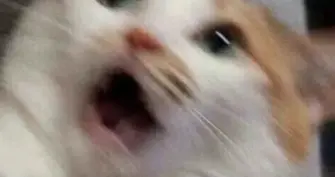 宝宝高烧后出红疹？可能是幼儿急疹来了！