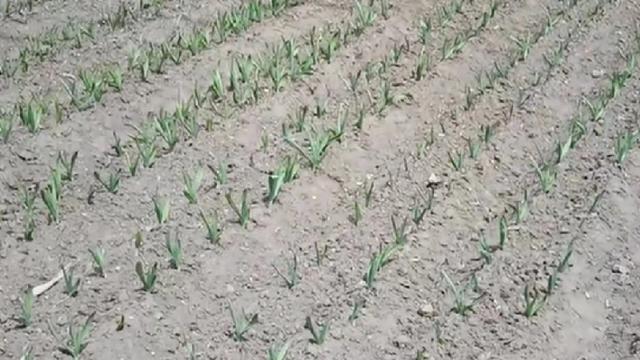 顺道：就凭我未来前夫那么在意我，那么小心