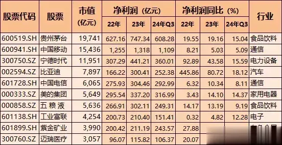 A股优质白马龙头，业绩持续大增，多个全球第一，机构扎堆的方向