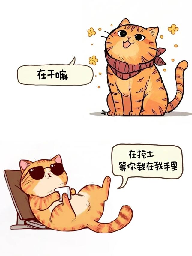 当异性问你“在干嘛”，这么回，笑坏他