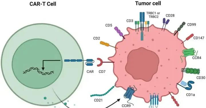 免疫治疗一般需要多久？效果能管几年？