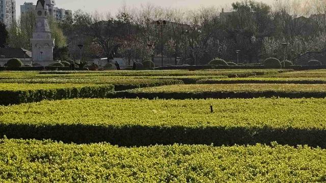 退享人生：我的今日