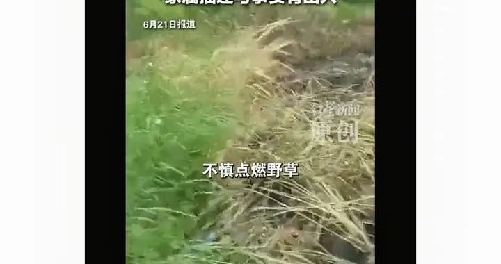 真相心酸！安徽9岁女孩引燃野草，父亲灭火离世，家属：要求灭火