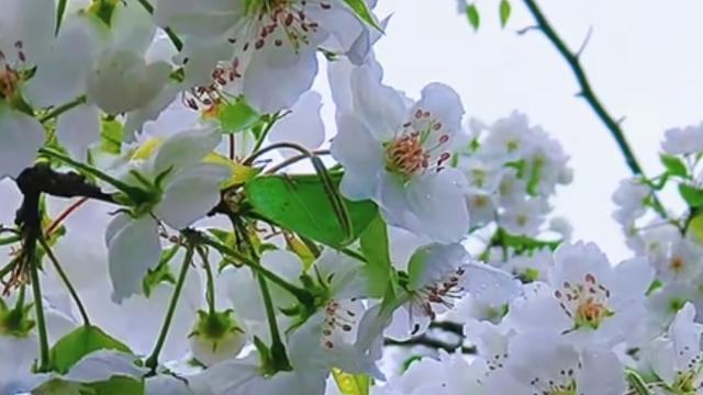 美好生活守望者：发现高中时学习的唯物辩证