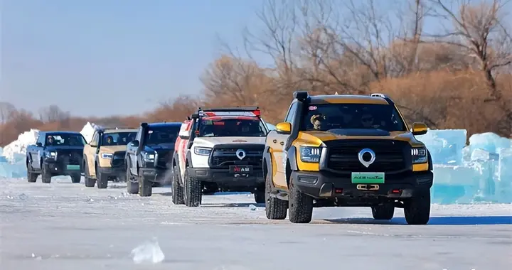 长城断崖式领跑 郑州日产独增23%！2月皮卡销超1.5万辆